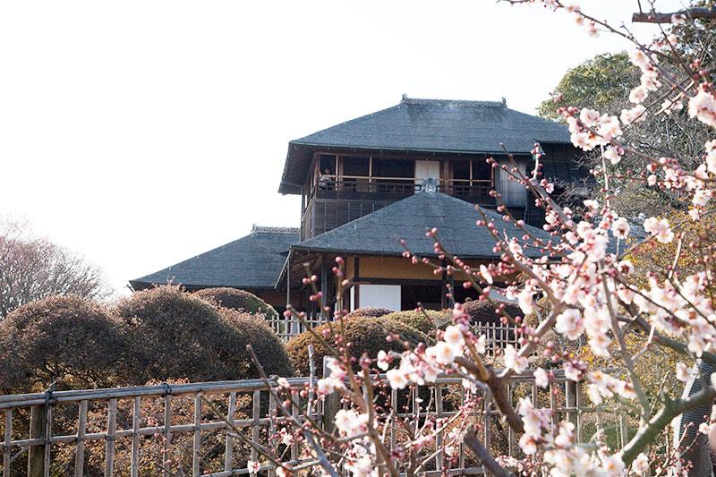 偕楽園 茨城の美味しいもの おすすめスポット観光情報